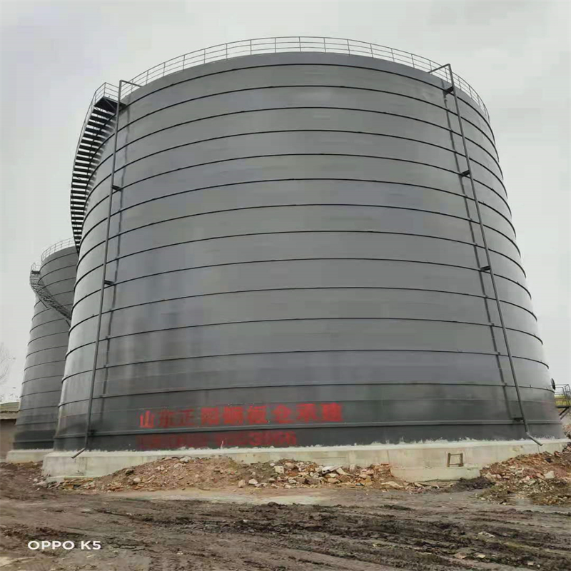 池州3万吨大型钢板库