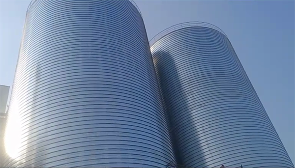 池州2座混凝土高架卷板仓